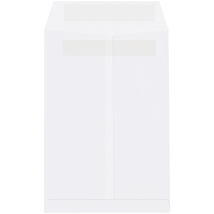 6 x 9" White Redi-Seal Envelopes